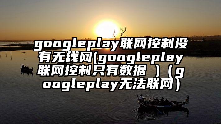 googleplay联网控制没有无线网(googleplay联网控制只有数据 )（googleplay无法联网）
