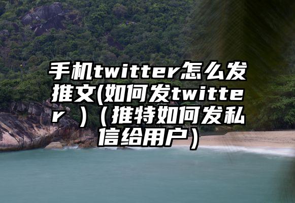 手机twitter怎么发推文(如何发twitter )（推特如何发私信给用户）