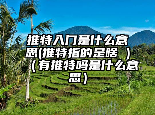 推特入门是什么意思(推特指的是啥 )（有推特吗是什么意思）