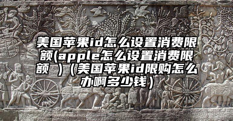 美国苹果id怎么设置消费限额(apple怎么设置消费限额 )（美国苹果id限购怎么办啊多少钱）