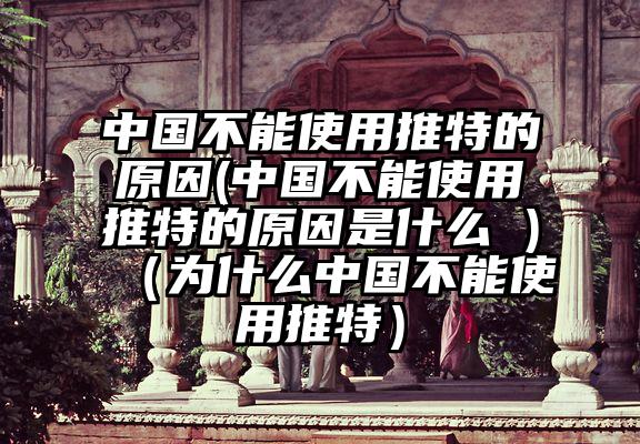 中国不能使用推特的原因(中国不能使用推特的原因是什么 )（为什么中国不能使用推特）