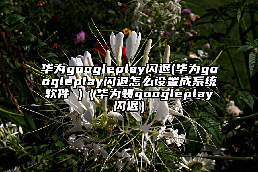 华为googleplay闪退(华为googleplay闪退怎么设置成系统软件 )（华为装googleplay闪退）