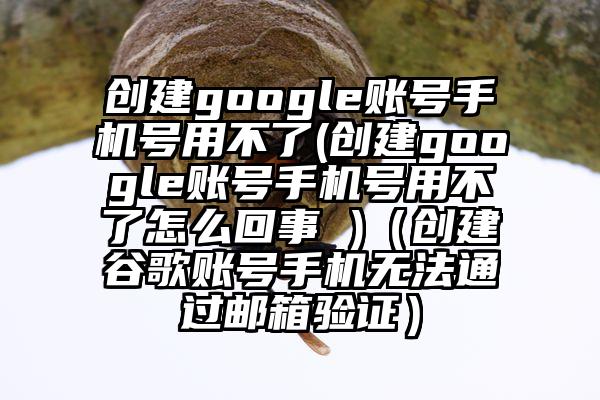 创建google账号手机号用不了(创建google账号手机号用不了怎么回事 )（创建谷歌账号手机无法通过邮箱验证）