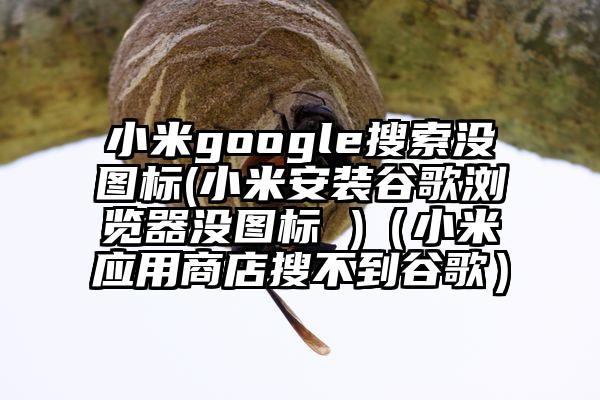 小米google搜索没图标(小米安装谷歌浏览器没图标 )（小米应用商店搜不到谷歌）