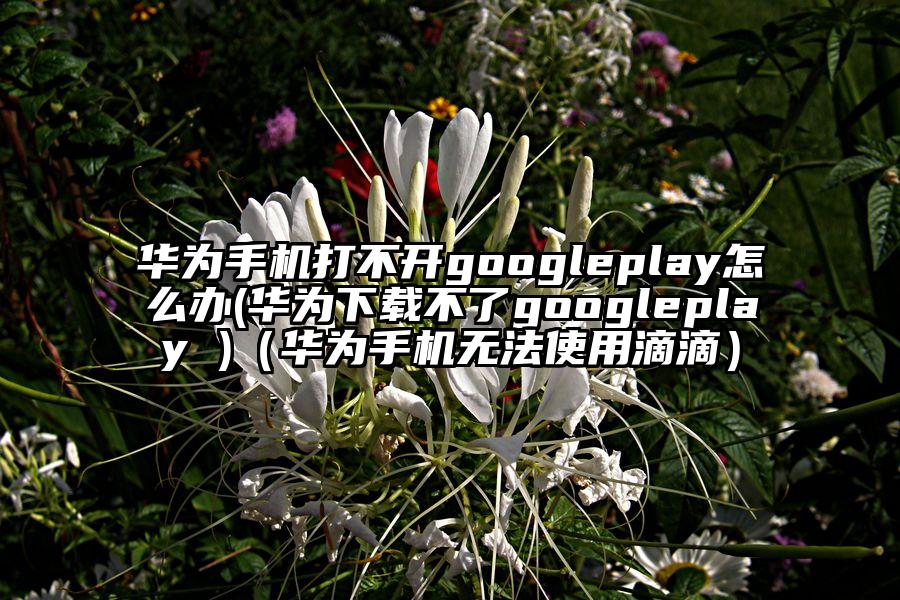华为手机打不开googleplay怎么办(华为下载不了googleplay )（华为手机无法使用滴滴）