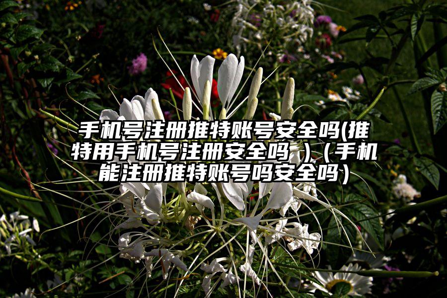 手机号注册推特账号安全吗(推特用手机号注册安全吗 )（手机能注册推特账号吗安全吗）