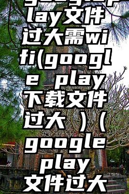 googleplay文件过大需wifi(google play下载文件过大 )（google play 文件过大需要,需