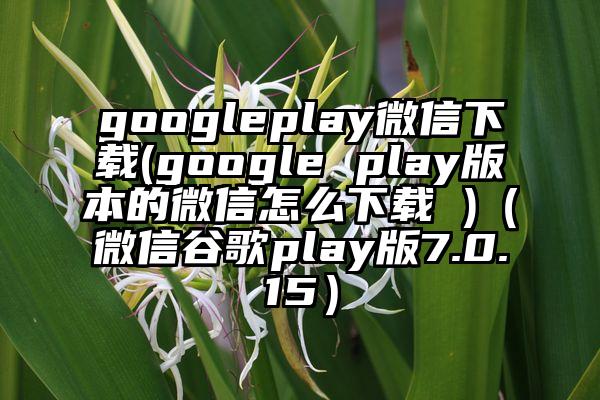 googleplay微信下载(google play版本的微信怎么下载 )（微信谷歌play版7.0.15）