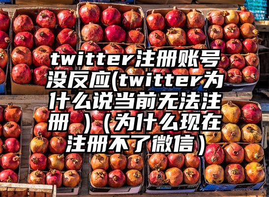 twitter注册账号没反应(twitter为什么说当前无法注册 )（为什么现在注册不了微信）