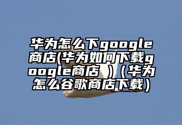 华为怎么下google商店(华为如何下载google商店 )（华为怎么谷歌商店下载）