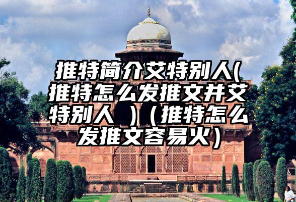 推特简介艾特别人(推特怎么发推文并艾特别人 )（推特怎么发推文容易火）