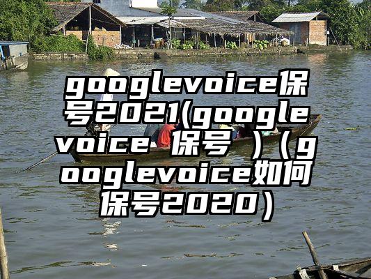 googlevoice保号2021(googlevoice 保号 )（googlevoice如何保号2020）