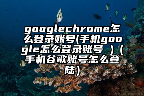 googlechrome怎么登录账号(手机google怎么登录账号 )(手机谷歌账号怎么登陆)