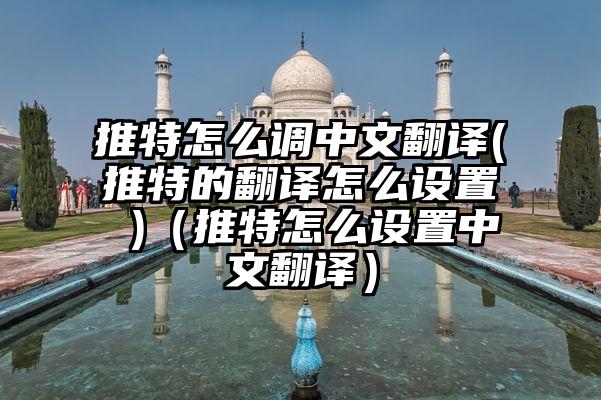 推特怎么调中文翻译(推特的翻译怎么设置 )（推特怎么设置中文翻译）