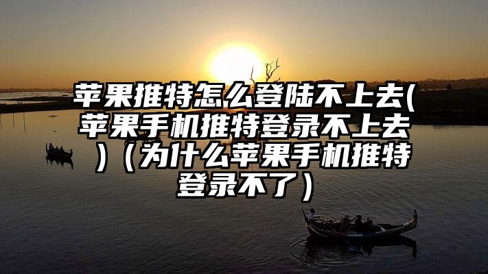 苹果推特怎么登陆不上去(苹果手机推特登录不上去 )（为什么苹果手机推特登录不了）