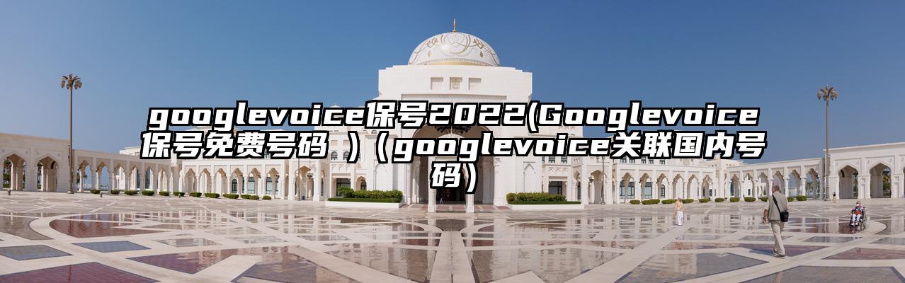 googlevoice保号2022(Googlevoice保号免费号码 )（googlevoice关联国内号码）