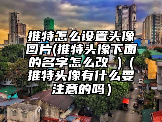 推特怎么设置头像图片(推特头像下面的名字怎么改 )（推特头像有什么要注意的吗）