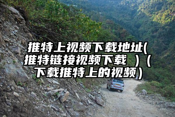 推特上视频下载地址(推特链接视频下载 )（下载推特上的视频）