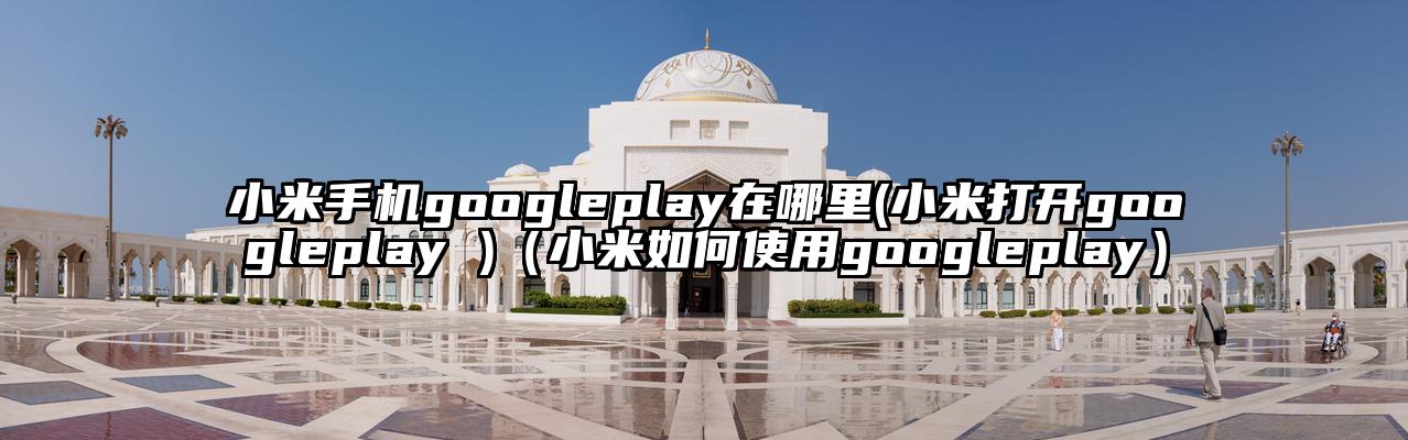 小米手机googleplay在哪里(小米打开googleplay )（小米如何使用googleplay）