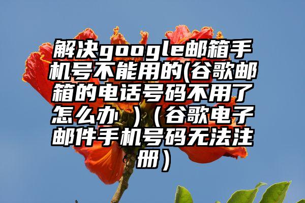 解决google邮箱手机号不能用的(谷歌邮箱的电话号码不用了怎么办 )（谷歌电子邮件手机号码无法注册）