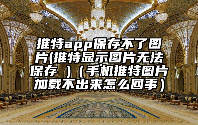 推特app保存不了图片(推特显示图片无法保存 )（手机推特图片加载不出来怎么回事）