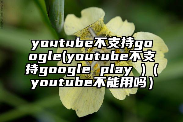 youtube不支持google(youtube不支持google play )（youtube不能用吗）