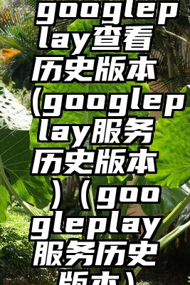 googleplay查看历史版本(googleplay服务历史版本 )（googleplay服务历史版本）