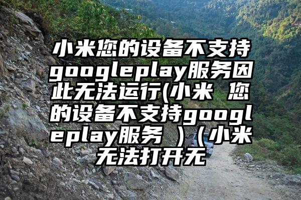 小米您的设备不支持googleplay服务因此无法运行(小米 您的设备不支持googleplay服务 )（小米无法打开无