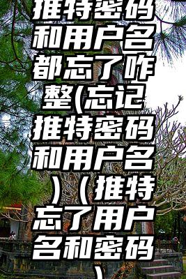 推特密码和用户名都忘了咋整(忘记推特密码和用户名 )（推特忘了用户名和密码）