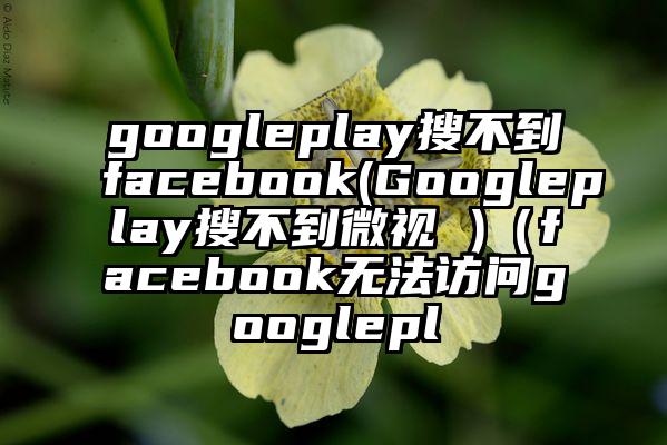 googleplay搜不到facebook(Googleplay搜不到微视 )（facebook无法访问googlepl