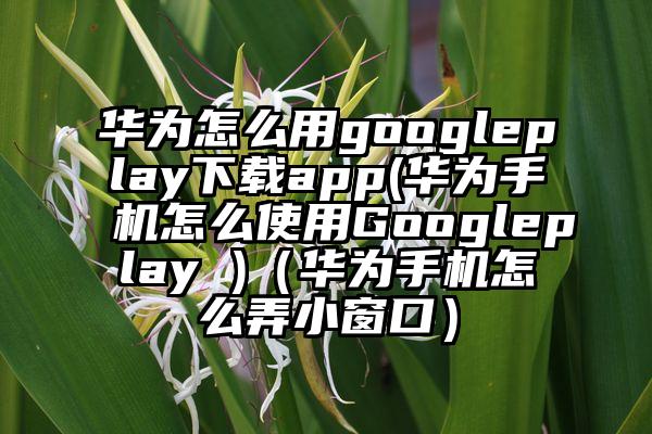 华为怎么用googleplay下载app(华为手机怎么使用Googleplay )（华为手机怎么弄小窗口）
