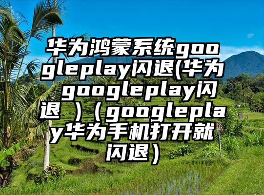 华为鸿蒙系统googleplay闪退(华为 googleplay闪退 )（googleplay华为手机打开就闪退）
