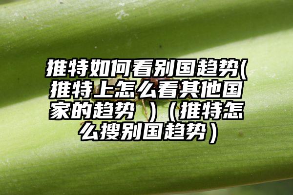 推特如何看别国趋势(推特上怎么看其他国家的趋势 )（推特怎么搜别国趋势）