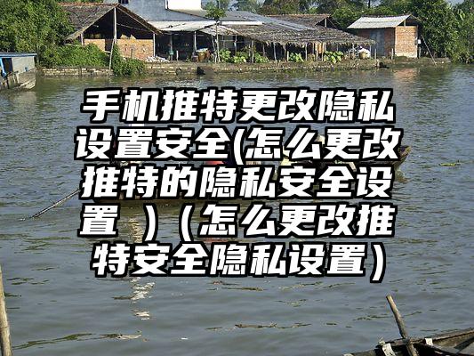 手机推特更改隐私设置安全(怎么更改推特的隐私安全设置 )（怎么更改推特安全隐私设置）