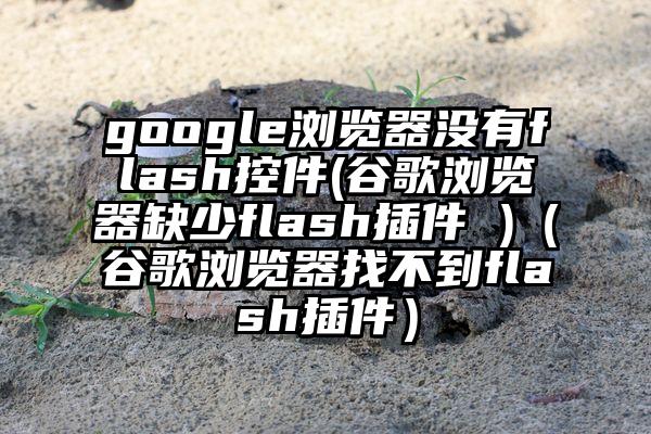 google浏览器没有flash控件(谷歌浏览器缺少flash插件 )（谷歌浏览器找不到flash插件）