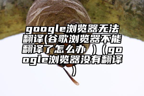 google浏览器无法翻译(谷歌浏览器不能翻译了怎么办 )（google浏览器没有翻译）