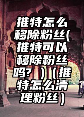 推特怎么移除粉丝(推特可以移除粉丝吗? )（推特怎么清理粉丝）