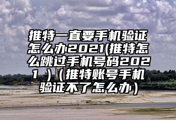 推特一直要手机验证怎么办2021(推特怎么跳过手机号码2021 )（推特账号手机验证不了怎么办）