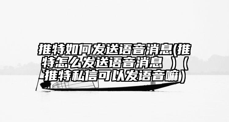推特如何发送语音消息(推特怎么发送语音消息 )（推特私信可以发语音嘛）