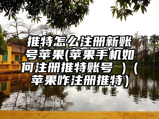 推特怎么注册新账号苹果(苹果手机如何注册推特账号 )（苹果咋注册推特）