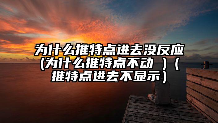 为什么推特点进去没反应(为什么推特点不动 )（推特点进去不显示）