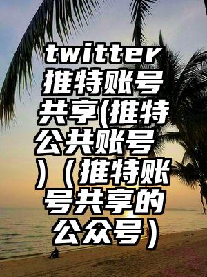 twitter推特账号共享(推特公共账号 )（推特账号共享的公众号）