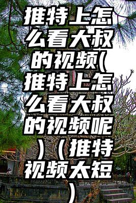 推特上怎么看大叔的视频(推特上怎么看大叔的视频呢 )（推特视频太短）