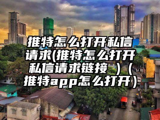 推特怎么打开私信请求(推特怎么打开私信请求链接 )（推特app怎么打开）