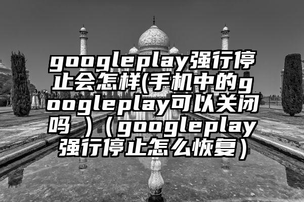 googleplay强行停止会怎样(手机中的googleplay可以关闭吗 )（googleplay强行停止怎么恢复）