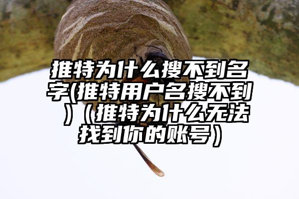 推特为什么搜不到名字(推特用户名搜不到 )（推特为什么无法找到你的账号）