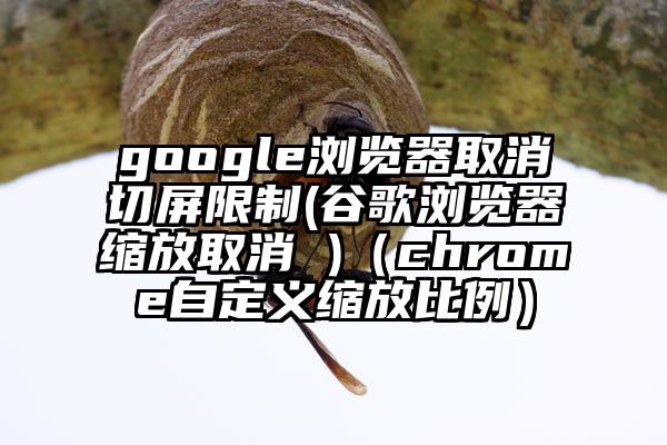 google浏览器取消切屏限制(谷歌浏览器缩放取消 )（chrome自定义缩放比例）