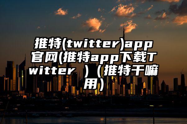 推特(twitter)app官网(推特app下载Twitter )（推特干嘛用）