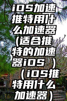 iOS加速推特用什么加速器(适合推特的加速器iOS )（iOS推特用什么加速器）