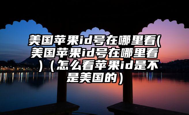 美国苹果id号在哪里看(美国苹果id号在哪里看 )（怎么看苹果id是不是美国的）
